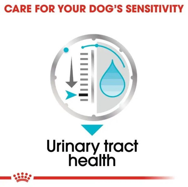 Royal Canin Dog Urinary Care Loaf - Пълноценна мокра храна в пауч за кучета, с предразположеност към уринарна чувствителност
